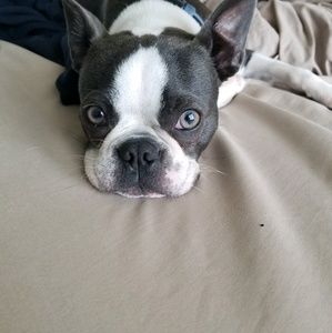 Meet your Posher, Elizabeth